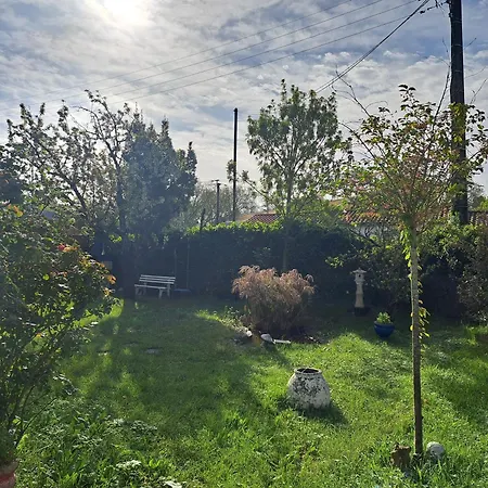 La Maison De Caroline Homestay La Rochelle (Charente-Maritime)